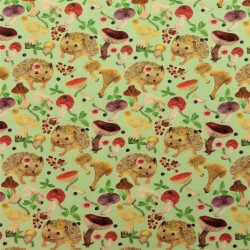 Tissu sweat forest : 21515